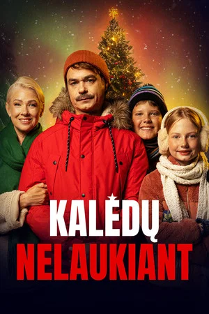 Постер: Not Waiting for Christmas