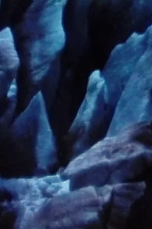 Постер: Creation