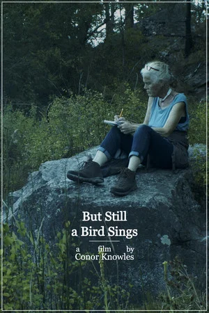 Постер: But Still a Bird Sings