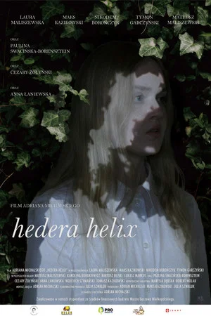 Постер: Hedera helix