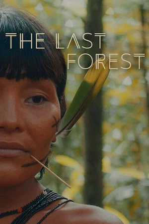 Постер: The Last Forest