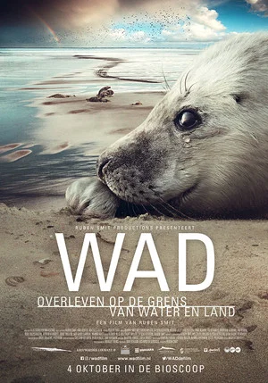 Постер: Wad: surviving on the border of water and land