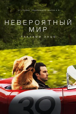 Постер: Невероятный мир глазами Энцо
