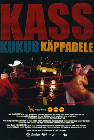 Постер: Happy Landing