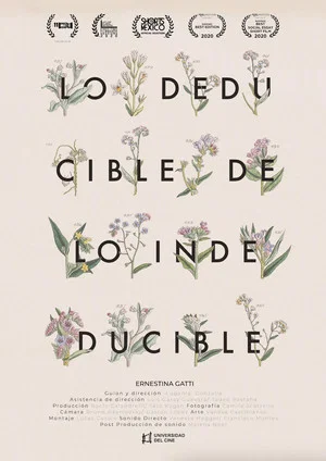 Постер: Lo deducible de lo indeducible