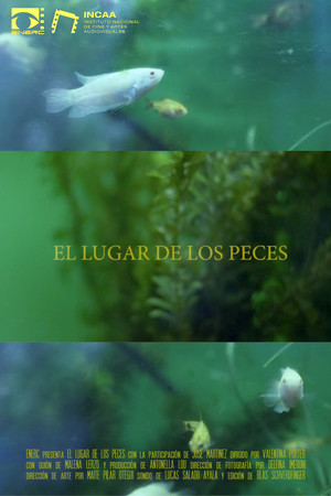 Постер: El Lugar de los Peces