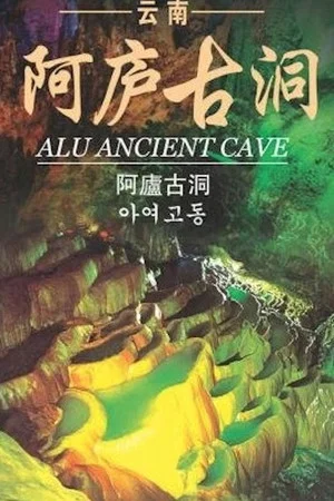 Постер: Faces of the Cave Wall
