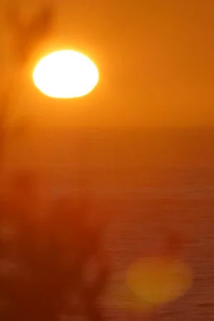 Постер: Après le solstice