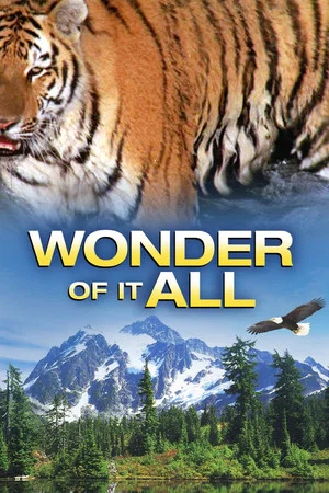 Постер: Wonder of It All