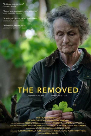 Постер: The Removed