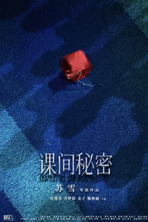 Постер: Secrets At The Intermissions