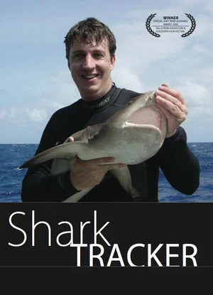 Постер: Shark Tracker