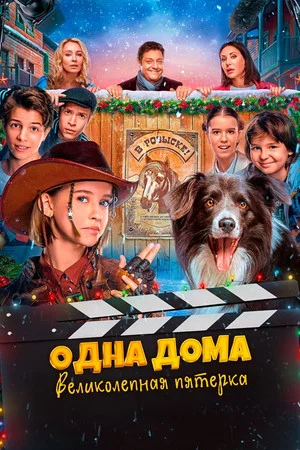 Постер: Одна дома. Великолепная пятерка