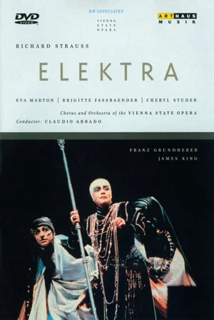 Постер: Elektra