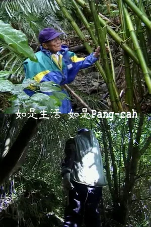 Постер: As Life, As Pangcah