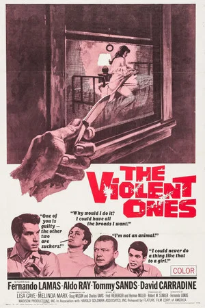 Постер: The Violent Ones
