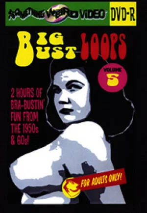 Постер: Big Bust Loops Volume 5