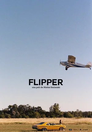 Постер: Flipper