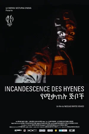 Постер: Glow of the Hyenas