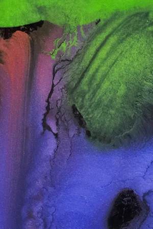 Постер: On Color
