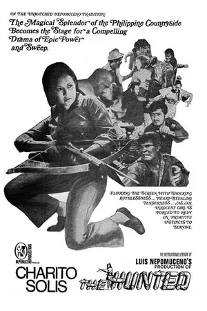 Постер: The Hunted
