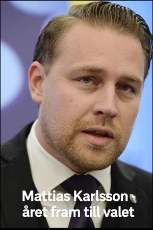 Постер: Mattias Karlsson: Året fram till valet