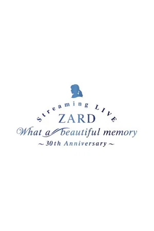 Постер: What a beautiful memory ~30th anniversary