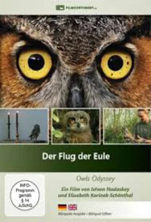 Постер: Der Flug der Eule