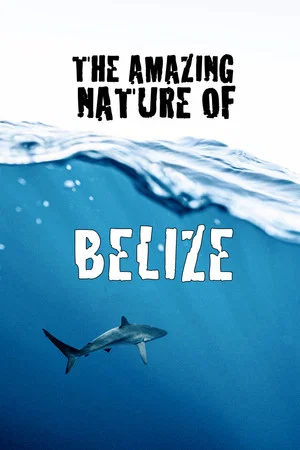 Постер: The Amazing Nature of Belize