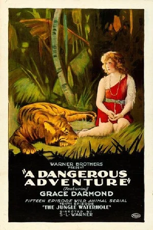 Постер: A Dangerous Adventure