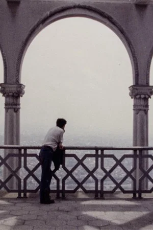 Постер: During the Many Years