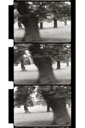 Постер: Motion Parallax