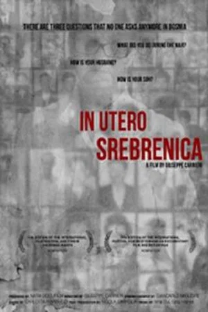 Постер: In utero Srebrenica