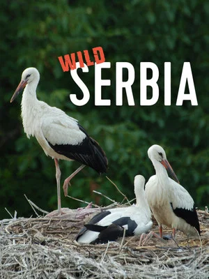 Постер: Wild Serbia