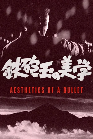 Постер: Aesthetics of a Bullet