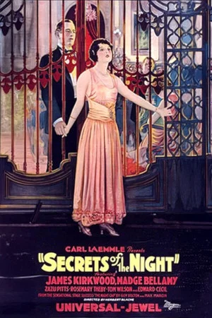 Постер: Secrets of the Night