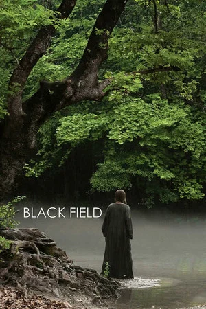 Постер: Black Field