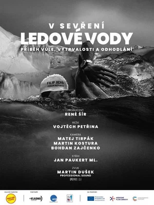 Постер: In the Grip of Ice Water