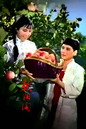 Постер: 朝阳沟