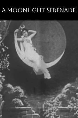 Постер: A Moonlight Serenade
