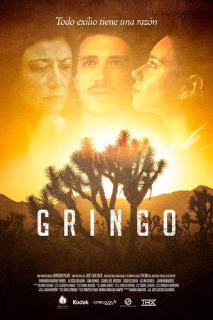 Постер: Gringo