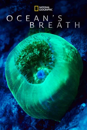 Постер: Ocean’s Breath