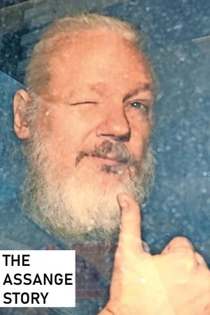 Постер: The Assange Story