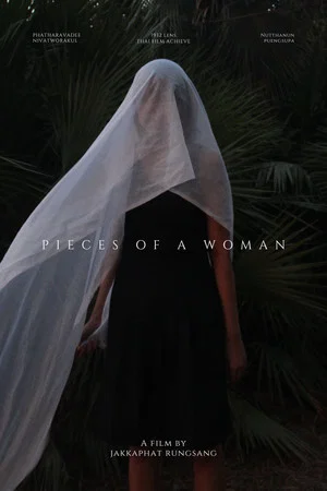 Постер: Pieces of a woman
