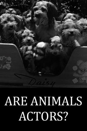 Постер: Are Animals Actors?