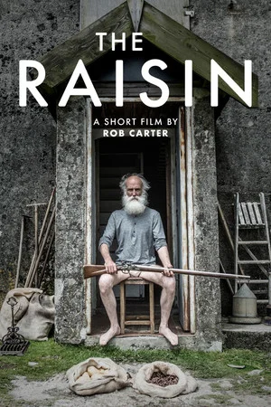 Постер: The Raisin