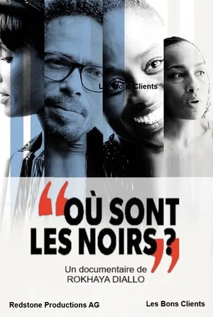Постер: Où sont les noirs ?