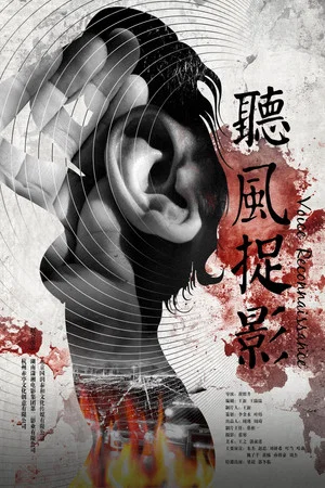 Постер: Voice Reconnaissance