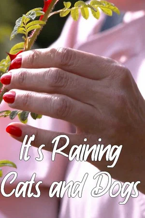 Постер: It's Raining Cats and Dogs