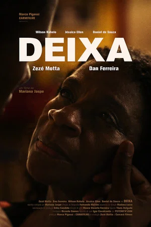 Постер: Deixa